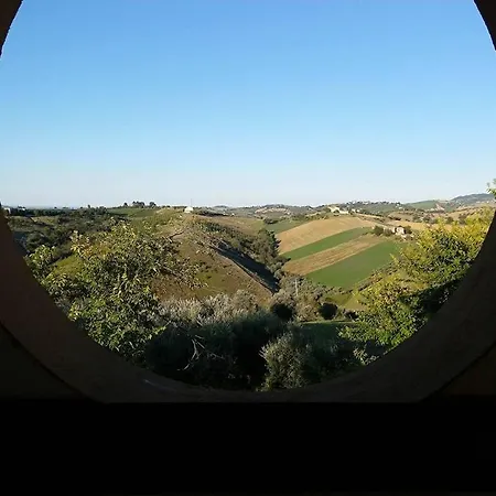 Patrizia Cellino Attanasio