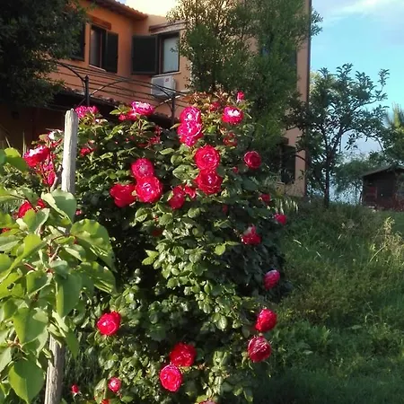 Patrizia * Cellino Attanasio