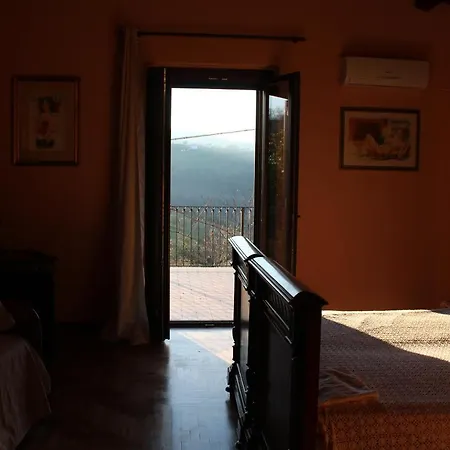 Patrizia Cellino Attanasio