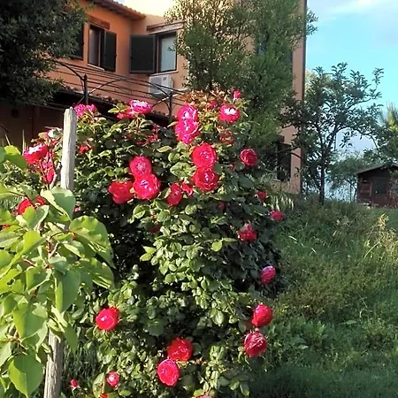 Patrizia Bed & Breakfast