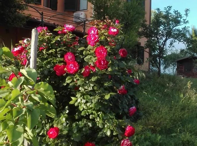 Patrizia * Cellino Attanasio